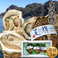 岩牡蠣【漁解禁】生がき 夏輝(なつき)［3個入］殻付き生牡蠣 天然岩ガキ 特大 ブランド認定帯付き 生食用…
