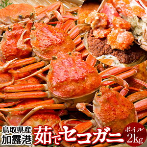 lŃZRKjmn2kg(16-20) qmɋ2025n{CZCRKj 挧Y eI X I ZCRI  ZɁmH̖o ӂ邳ƃMtgn