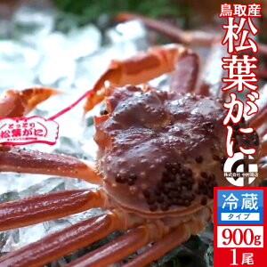 tKjmn900g ^Otmɋ2025ntI V ܂΂ 挧Y uh}coKj {CYCKjmH̖o ӂ邳ƃMtgn