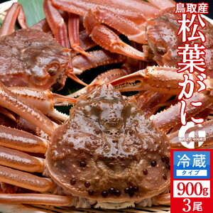 tKjmn900g×3 ^Otmɋ2025ntI V ܂΂ 挧Y uh}coKj {CYCKjmH̖o ӂ邳ƃMtgn