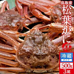 tKjmn500g×3 ^Otmɋ2025ntI V ܂΂ 挧Y uh}coKj {CYCKjmH̖o ӂ邳ƃMtgn