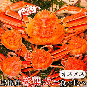 lŏtKjm600gZRKj5tn^Ot IXXHה {CtI ł 挧Y uh}coKj YCKj ZCRKjmΕ ӂ邳ƃMtgn