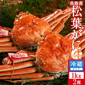 lŏtKjmn1kg×2 ^Otmɋ2025n{CtI 䥂ŊI V 挧Y uh}coKj {CYCKjmH̖o ӂ邳ƃMtgn