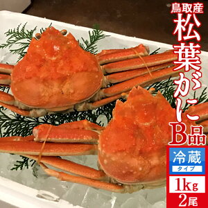 lŏtKj 󂠂mBn1kg×2mɋ2025n܂ {CtI 䥂ŊI V 挧Y uh}coKj {CYCKjmH̖o ӂ邳ƃMtgn