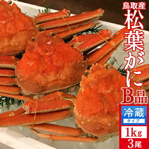 lŏtKj 󂠂mBn1kg×3mɋ2025n܂ {CtI 䥂ŊI V 挧Y uh}coKj {CYCKjmH̖o ӂ邳ƃMtgn