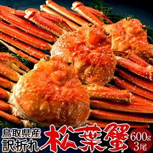 lŏtKj 󂠂mBn600g×3mɋ2025n܂ {CtI 䥂ŊI V 挧Y uh}coKj {CYCKjmH̖o ӂ邳ƃMtgn