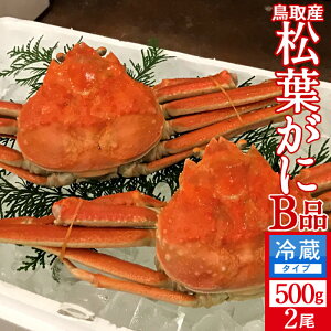 lŏtKj 󂠂mBn500g×2mɋ2025n܂ {CtI 䥂ŊI V 挧Y uh}coKj {CYCKjmH̖o ӂ邳ƃMtgn