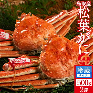 lŏtKjmn500g×2 ^Otmɋ2025n{CtI 䥂ŊI V 挧Y uh}coKj {CYCKjmH̖o ӂ邳ƃMtgn