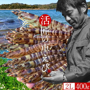 ԊCVmVуX^[gn܂ y2LzԂ 400gm12-14n炿 V ̎ԊCV Y ێR hg F{Y N}Gr   Hו xH Ԃ