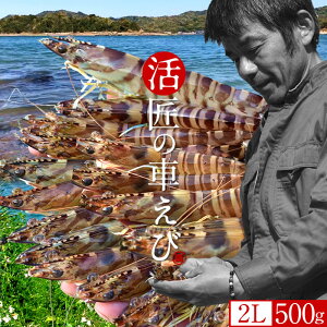 ԊCVmVуX^[gn܂ y2LzԂ 500gm15-17n炿 V ̎ԊCV Y ێR hg F{Y N}Gr   Hו xH Ԃ