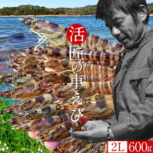 ԊCVmVуX^[gn܂ y2LzԂ 600gm18-20n炿 V ̎ԊCV Y ێR hg F{Y N}Gr   Hו xH Ԃ