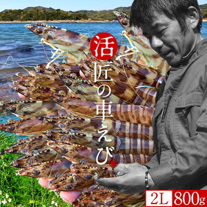 ԊCVmVуX^[gn܂ y2LzԂ 800gm24-26n炿 V ̎ԊCV Y ێR hg F{Y N}Gr   Hו xH Ԃ