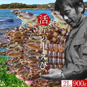 ԊCVmVуX^[gn܂ y2LzԂ 900gm27-29n炿 V ̎ԊCV Y ێR hg F{Y N}Gr   Hו xH Ԃ