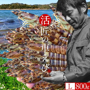 ԊCVmVуX^[gn܂ ԃGryLz800gm28-31n炿 V ̎ԊCV Y ێR hg F{Y N}Gr   Hו xH Ԃ 