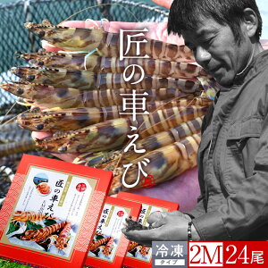 ԊCV V Ⓚ Y 2M 24m8250g×3PnԃGr hg Ă tC F{ {B N}Gr 炿 ̎Ԃ  Yn { Hו Ă Vs Y Yn 񂹁m