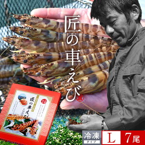 ԊCV V ⓀmVсnY Lm7250g×1PnԃGr hg Ă tC F{ {B N}Gr 炿 ̎Ԃ  Yn { Hו Ă Vs Y Yn 