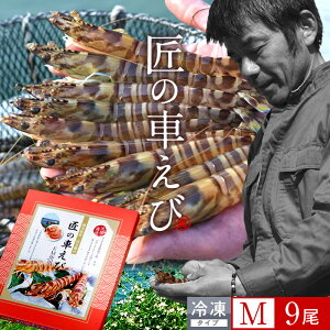 ԊCV V ⓀmVсnY Mm9250g×1PnԃGr hg Ă tC F{ {B N}Gr 炿 ̎Ԃ  Yn { Hו Ă Vs Y Yn 