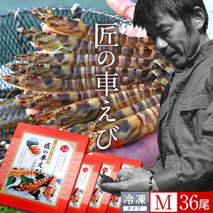 ԊCV V Ⓚ Y M 36m9250g×4PnԃGr hg Ă tC F{ {B N}Gr 炿 ̎Ԃ  Yn { Hו Ă Vs Y Yn 񂹁mH