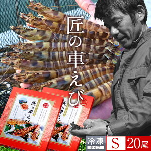 ԊCV V ⓀmVсnY S 20m10250g×2PnԃGr hg Ă tC F{ {B N}Gr 炿 ̎Ԃ  Yn { Hו Ă Vs Y Yn 