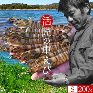 ԊCVmVуX^[gn܂ ԃGrySz200gm9-13n炿 V ̎ԊCV Y ێR hg F{Y N}Gr   Hו xH Ԃ 