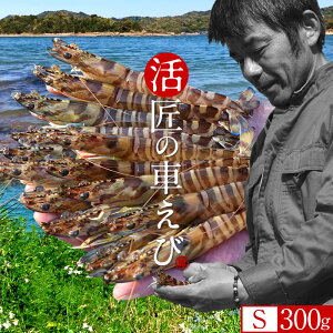 ԊCVmVуX^[gn܂ ԃGrySz300gm14-18n炿 V ̎ԊCV Y ێR hg F{Y N}Gr   Hו xH Ԃ 