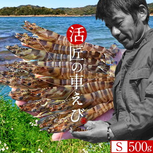 ԊCVmVуX^[gn܂ ԃGrySz500gm24-27n炿 V ̎ԊCV Y ێR hg F{Y N}Gr   Hו xH Ԃ 