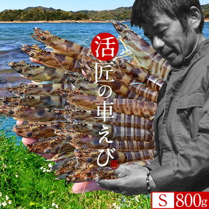 ԊCVmVуX^[gn܂ ԃGrySz800gm38-42n炿 V ̎ԊCV Y ێR hg F{Y N}Gr   Hו xH Ԃ 