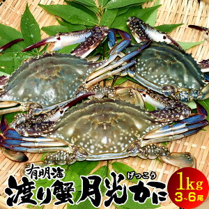 ワタリガニ 冷凍の人気商品 通販 価格比較 価格 Com