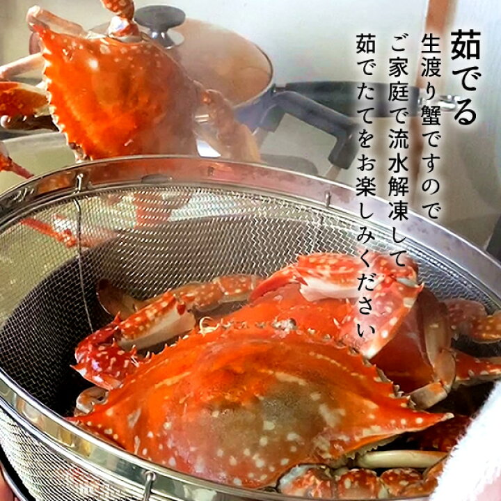 楽天市場 わたりがに ワタリガニ 有明海 月光かに 約450g前後 小 2尾 生 渡り蟹 熊本県上天草市串港 ガザミ ガネ カニ漁師 活〆冷凍 送料無料 プレゼント お返し お礼 産地直送 ギフト お歳暮 食コレ Japan Food