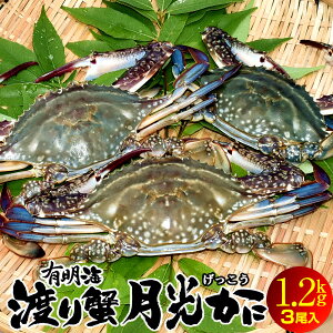 ワタリガニの人気商品 通販 価格比較 価格 Com