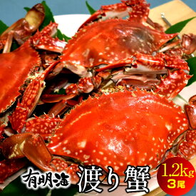 ワタリガニ直売 活〆 有明海 1.2kg[3尾入] 生冷凍 ワタリ蟹 旬 熊本県上天草市串港 ガザミ ガネ カニ漁師 活〆冷凍 送料無料［ 母の日 ギフト プレゼント］