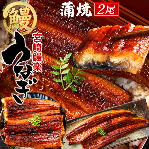 V Ȃ Y EiM Ă 2Zbgmv280gnB{Y Vy ΏĂ Ђ܂Ԃ n X̖ 񂹃O ʔ lC ȂmH̖o ӂ邳ƃMtgn