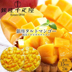 D P[L 썑}S[ t[c^gma15cmn×2Zbg ʕVܓX ^gnɃA[hN[ 썑gsJeCXg XC[c  ʔ́mH̖o