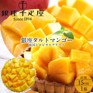 D P[L 썑}S[ t[c^gma15cmnʕVܓX ^gnɃA[hN[ 썑gsJeCXg XC[c  ʔ́mH̖o ӂ邳ƃM