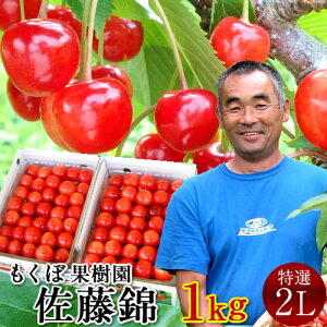 佐藤錦 2L」の人気商品一覧・価格比較 - 価格.com