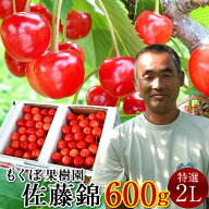 さくらんぼ 佐藤錦 600g＼お中元予約 7月中下旬お届け／最高級 秀品【特選2L/L】300g×2P 完熟 高糖度 大…