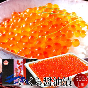  kCY CN ݖЂ 500g  H ŖkIz[cNC m炿 񂹁mH̖o ӂ邳ƃMtgn