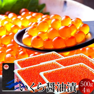  kCY CN ݖЂ 2kgi500g×4j  H ŖkIz[cNC m炿 񂹁mH̖o ӂ邳ƃMtgn