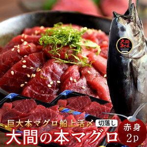 Ԃ̃}O 󂠂 Ԑg400g [200g×2P] ܂ ؂藎Ƃ { N}O ؂藎 {܂ XԎY Ԃ̂܂ hg KiO ؗ t  YnmH̖o ӂ
