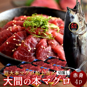 Ԃ̃}O 󂠂 Ԑg800g [200g×4P] ܂ ؂藎Ƃ { N}O ؂藎 {܂ XԎY Ԃ̂܂ hg KiO ؗ t  YnmH̖o ӂ