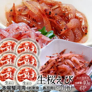   Y 炦 Ђ т̂Â [40g×6P] CV É R` x͘pY  YnmH̖o ӂ邳ƃMtgn