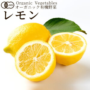 L@  240gmS 2-3ʁn쌧Y {_ыKiJAS I[KjbN xW^u X[W[ ޗ {̋  _YZ^[mΕ ӂ邳ƃMtgn