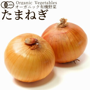 L@ ܂˂ 400g ʔK {_ыKiJAS I[KjbN xW^u X[W[ ޗ {̋  _YZ^[mH̖o ӂ邳ƃMtgn