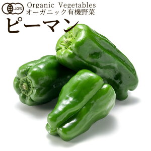 �L�@��� �s�[�}�� 120g ���{�_�ыK�iJAS �I�[�K�j�b�N �x�W�^�u�� �X���[�W�[ �����ޗ� �{�̋�� ������ �_�Y�Z���^�[�����m���Ε� �ӂ邳�ƃM�t�g�n