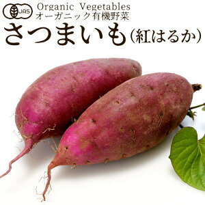 L@ ܂ig͂邩j500g F {_ыKiJAS I[KjbN xW^u X[W[ ޗ {̋  _YZ^[mH̖o ӂ邳ƃMtgn