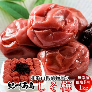 ~ 1kg ~ ߂ڂ IB썂 ~ ݂͂ 1L ቖ 8 a̎RY ЕX IBՉ O Y yY YnmH̖o ӂ邳ƃMtgn