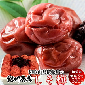 ~ 500g ~ ߂ڂ IB썂 ~ ݂͂ ቖ 8 a̎RY ЕX IBՉ O Y yY YnmH̖o ӂ邳ƃMtgn