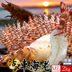 ԊCV hgm\11nYⓀyMLz2kgm60-88nV 炿 Ԃ F{Y 쓇 N}Gr {B H Ԃ GrtC  Yn { Hו Ă  