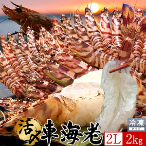 ԊCV hg Ym\11nYⓀ y2Lz2kgm48-56nV 炿 Ԃ F{Y 쓇 N}Gr {B H Ԃ GrtC  Yn { Hו Ă 