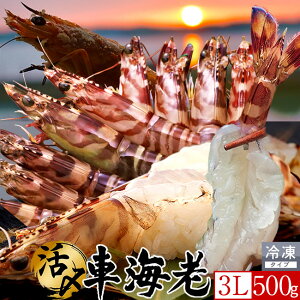 ԊCV y3Lz500gm8-11nYⓀ hgm\12nV 炿 Ԃ F{Y 쓇 N}Gr {B H Ԃ GrtC  Yn { Hו Ă 